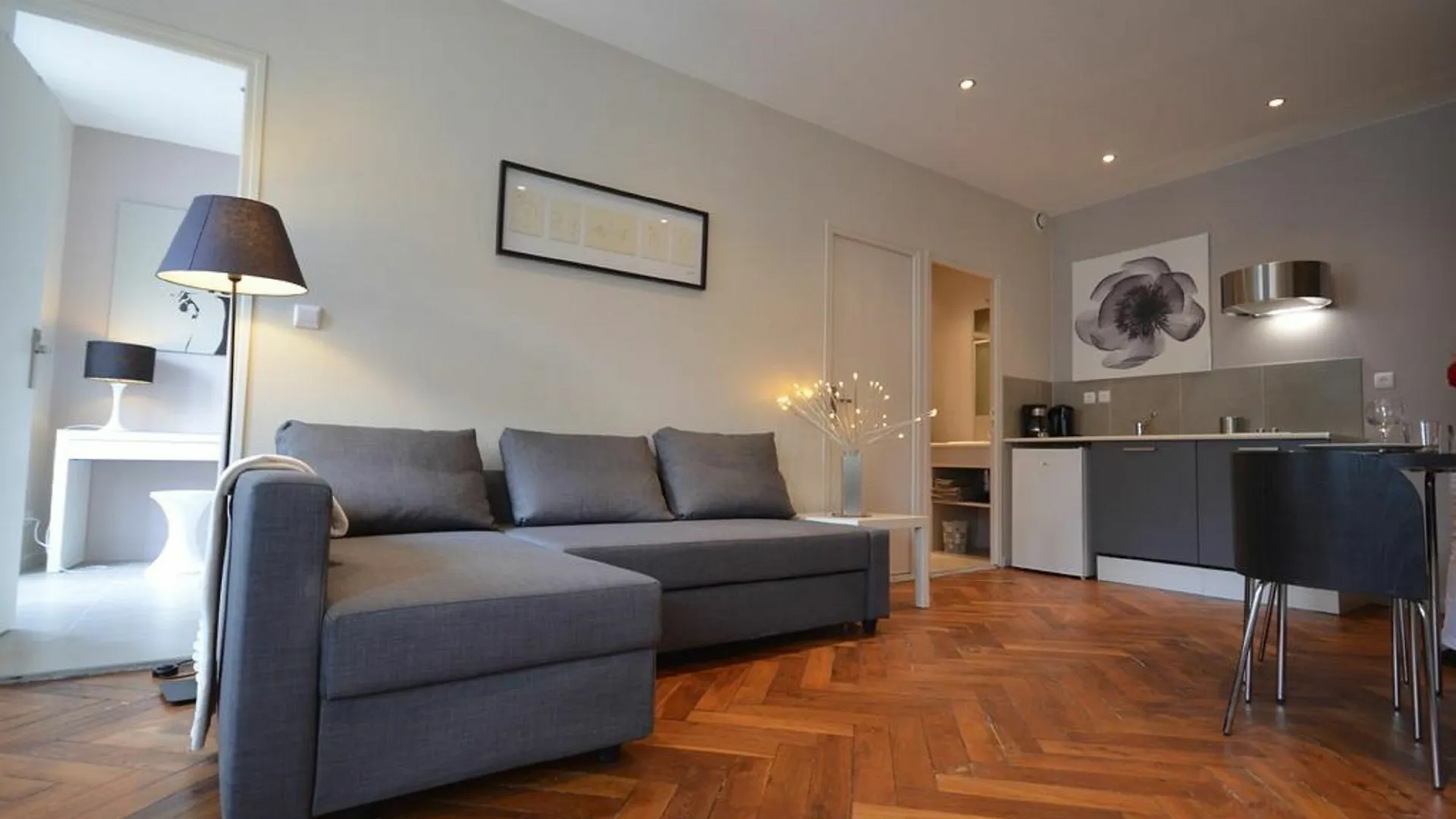 Appartement Edouard Herriot ليون شقة